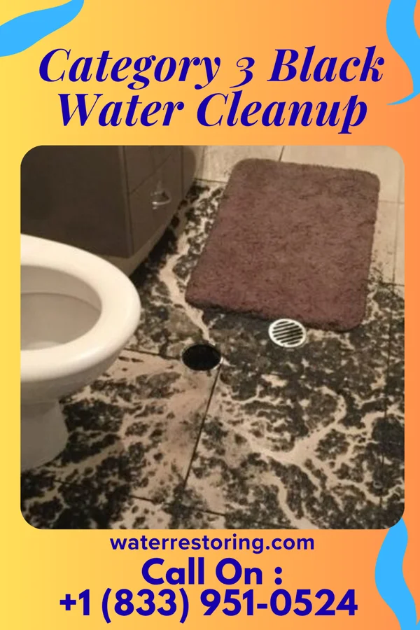 Category 3 Black Water Cleanup in St. Onge, SD