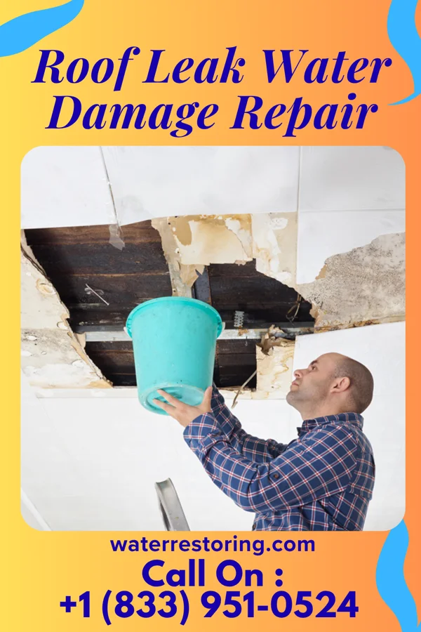 Roof Leak Water Damage Repair in St. Onge, SD